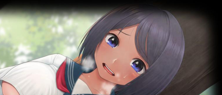 色情换装灾难谭1.0 萌盟版 PC+安卓插图
