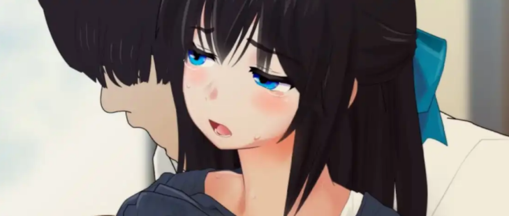 NTR的小镇1.0七宝版 PC+安卓插图