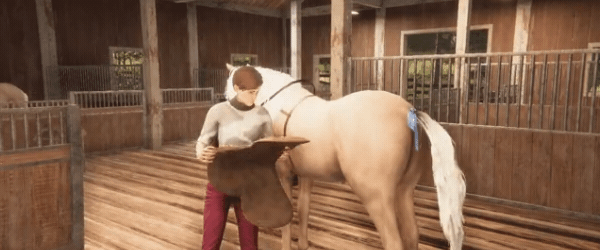 我的马：灵魂契约/My Horse: Bonded Spirits
