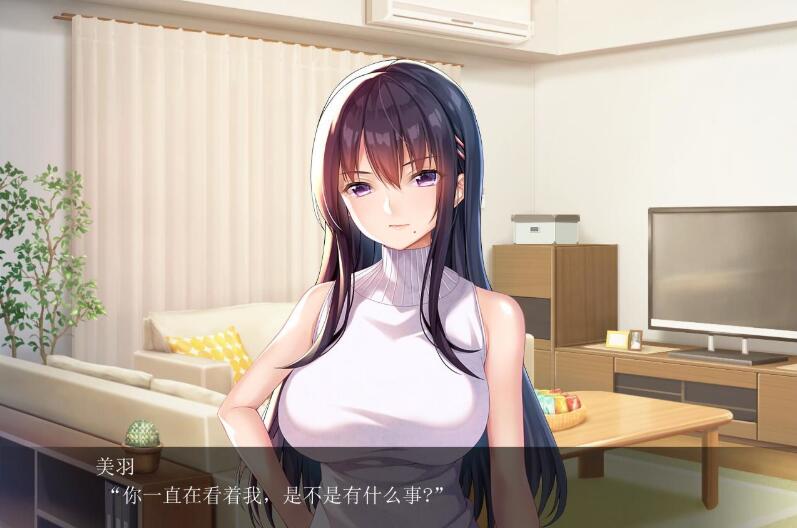 请停手吧姐姐大人！要断了！完整汉化版 PC+安卓KR+全CG